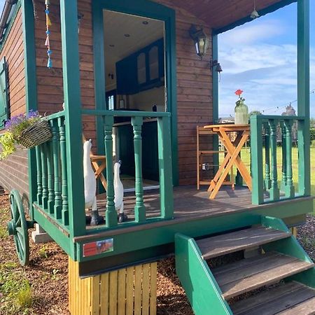 Pia B&B Babbita Hasselt Exteriör bild