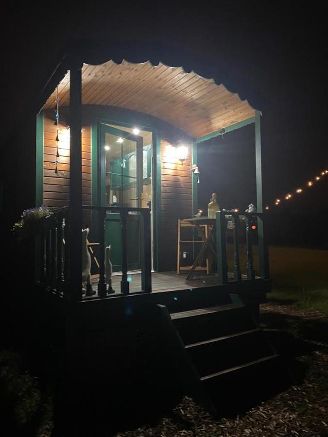 Pia B&B Babbita Hasselt Exteriör bild